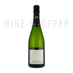 Шампанское Thierry Fournier Chardonnay Brut 2012 0.75 л