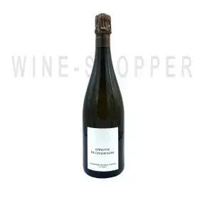 Шампанское Maurice Choppin Epinette de Champagne Extra Brut 2017 0.75 л