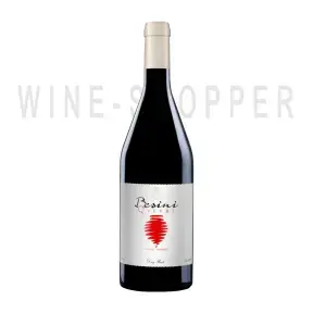 Вино Besini Qvevri Red 2019 0.75 л