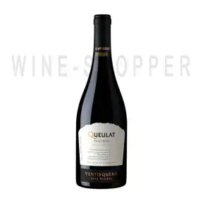 Вино Ventisquero Queulat Gran Reserva Pinot Noir 2019 0.75 л