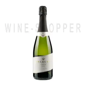 Игристое вино Cavas Masachs Selecta Brut Cava DO 2020 0.75 л