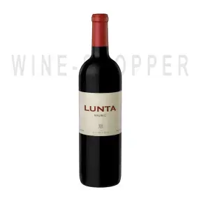 Вино Vinedos y Bodega Mendel Lunta Malbec 2019 0.75 л