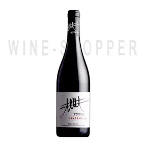 Вино Ayunta Navigabile Etna Rosso DOC 0.75 л