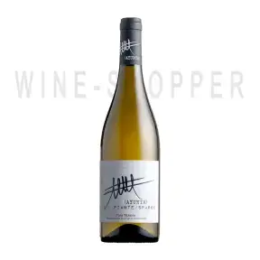 Вино Ayunta Piante/Sparse Etna Bianco DOC 0.75 л