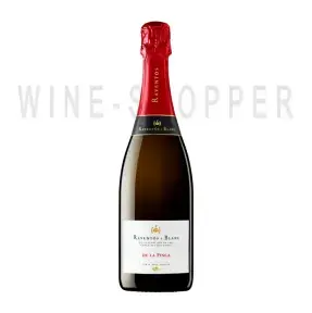 Игристое вино Raventos i Blanc de la Finca Extra Brut Cava DO 2019 0.75 л 