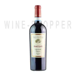 Вино Tenuta Sant'Antonio Monti Garbi Valpolicella Superiore DOC Ripasso 2019 0.75 л