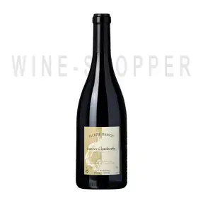 Вино Domaine Pierre Damoy Gevrey Chambertin AOC 2017 0.75 л