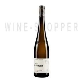 Вино Birgit Eichinger Riesling Gaisberg Kamptal DAC 2020 0.75 л
