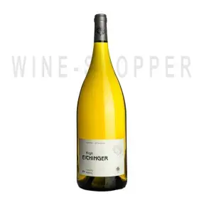 Вино Birgit Eichinger Riesling Gaisberg Kamptal DAC 2020 1.5 л