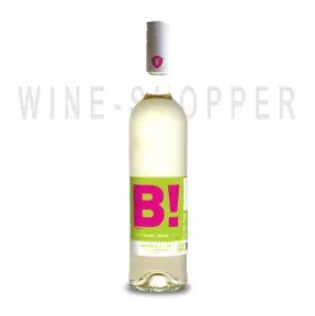 Вино Wines With Spirit B! by Bastardo! Vinho Verde 2021 0.75 л
