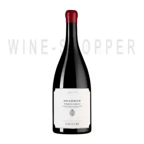 Вино Foradori Sgarzon Vigneti delle Dolomiti IGT 2021 0.75 л