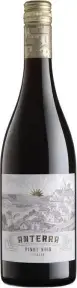  Anterra Pinot Noir, Terre Siciliane IGT 0.75 л
