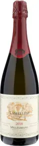 Игристое вино вино Tamellini Millesimato Extra Brut, 2018, 0.75 л