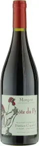 Вино Damien Coquelet Cote du Py Morgon AOC, 2020, 0.75 л