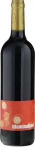 Вино Laurent Herlin Illuminations Bourgueil AOC, 2018, 0.75 л