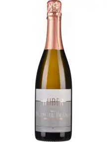 Игристое вино Markus Huber Gruner Veltliner Brut Blanc de Blancs 2020 0.75 л
