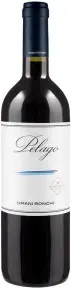 Вино Pelago Marche Rosso IGT, 2019, 0.75 л