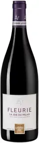 Вино Domaine Lafarge Vial Fleurie La Joie De Palais AOC, 2021, 0.75 л