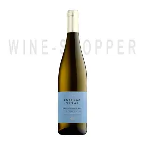 Вино Bottega Vinai Sauvignon Blanc 0.75 л