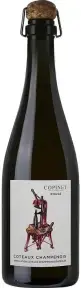  Marie Copinet Rouge (Pinot Noir) Coteaux Champenois AOC, 2018, 0.75 л