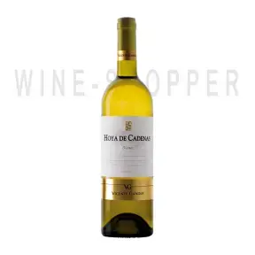 Вино Utiel-Requena DO Vicente Gandia Hoya de Cadenas Blanco 0.75 л