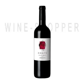 Вино Somontano DO Enate Merlot-Merlot 2012 0.75 л