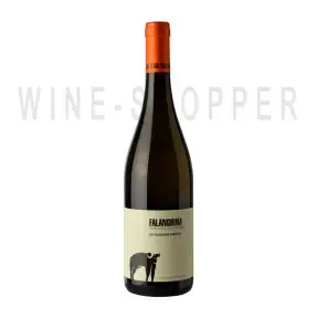 Вино Campania IGP San Salvatore Falanghina 2020 0.75 л