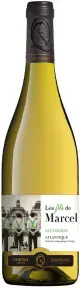 Вино Les Fils de Marcel Sauvignon Atlantique IGP dry, 2023, 0.75 л