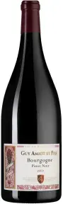 Вино Domaine Guy Amiot et Fils Bourgogne Pinot Noir AOC, 2021, 1.5 л