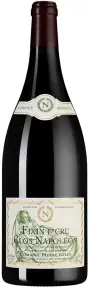Вино Domaine Pierre Gelin Fixin 1-er cru Clos Napoleon, 2020, 1.5 л