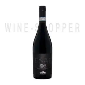 Вино Bosan Amarone della Valpolicella Classico Riserva Gerardo Cesari 2008 0.75 л