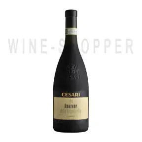 Вино Gerardo Cesari Amarone della Valpolicella DOCG Classico 2015 0.75 л
