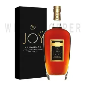 Арманьяк Joy Vintage, Armagnac AOC, gift box 1987 0.7 л