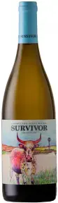 Вино Survivor Chenin Blanc, 2023, 0.75 л