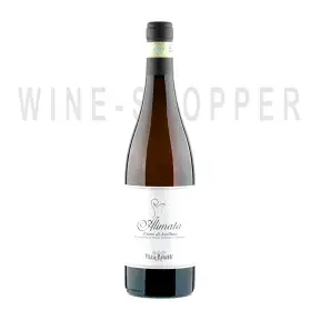 Вино Villa Raiano Alimata Fiano di Avellino 2013 0.75 л