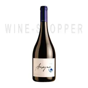 Вино Vina Garces Silva Limitada, Amayna Syrah 2015 0.75 л