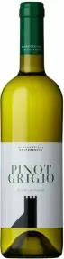 Вино Alto Adige Pinot Grigio DOC, 2019, 0.75 л