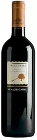 Вино Anima Umbra Rosso, 0.75 л