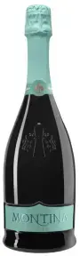 Игристое вино La Montina Franciacorta DOCG Saten Brut, 2023, 0.75 л