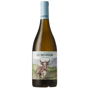 Вино Survivor Chardonnay, 2022, 0.75 л