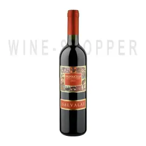 Вино Cantine Salvalai Valpolicella Classico 2013 0.375 л