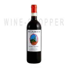 Вино Barbera d'Alba DOC Icardi Suri di Mu 2012 1.5 л