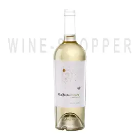 Вино Gran Sasso Alta Quota Pecorino Terre di Chieti IGT 2016 0.75 л