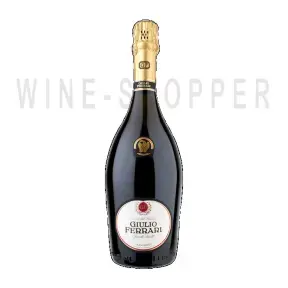 Игристое вино Ferrari Brut Giulio Ferrari 2005 0.75 л