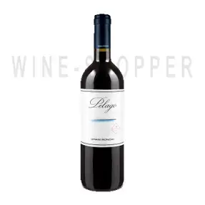 Вино Pelago Umani Ronchi 2009 0.75 л
