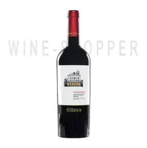 Вино Fidenzio Montefalco Rosso DOC 0.75 л