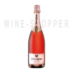 Игристое вино Cava Juve y Camps Rose 0.75 л