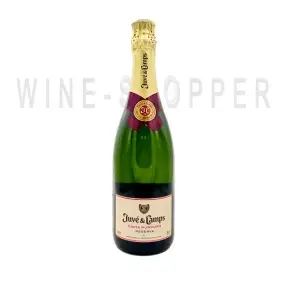 Игристое вино Juve y Camps Cava Cinta Purpura Reserva Brut 0.75 л