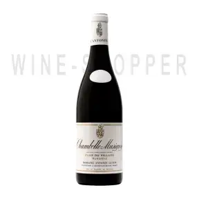 Вино Chambolle-Musigny Clos du Village 2016 1.5 л