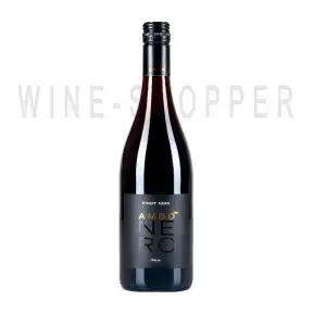 Вино Ambo Nero Pinot Noir PROVINCIA di PAVIA 2017 0.375 л